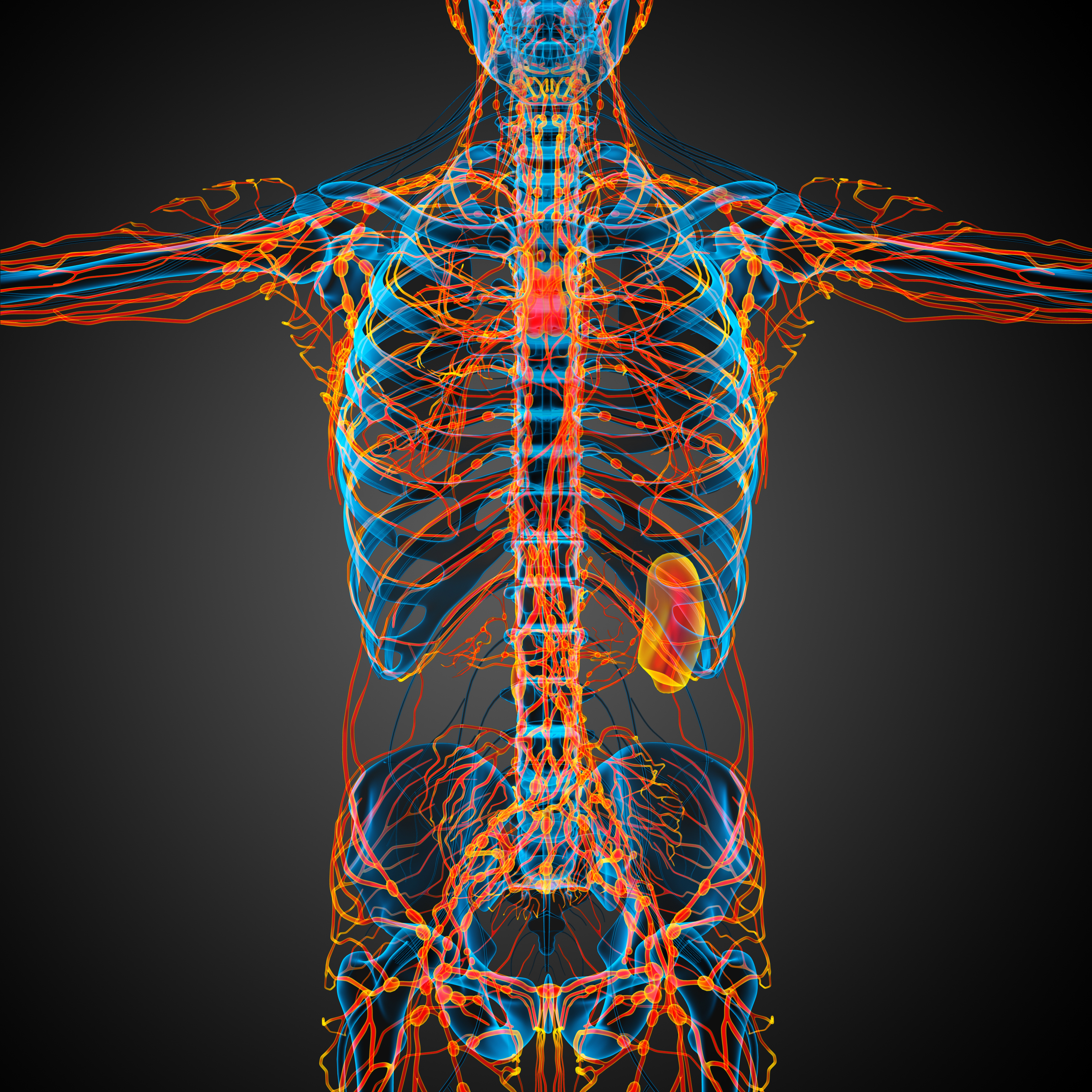 shotty lymph nodes cancer shotty lymph nodes cancer